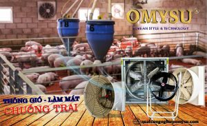 chuồng trại nuôi lợn