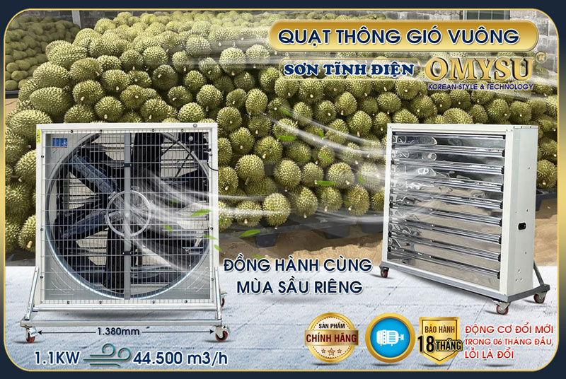 Quạt vuông thổi sầu riêng