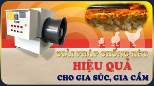 Giải pháp chống rét hiệu quả cho gia súc gia cầm
