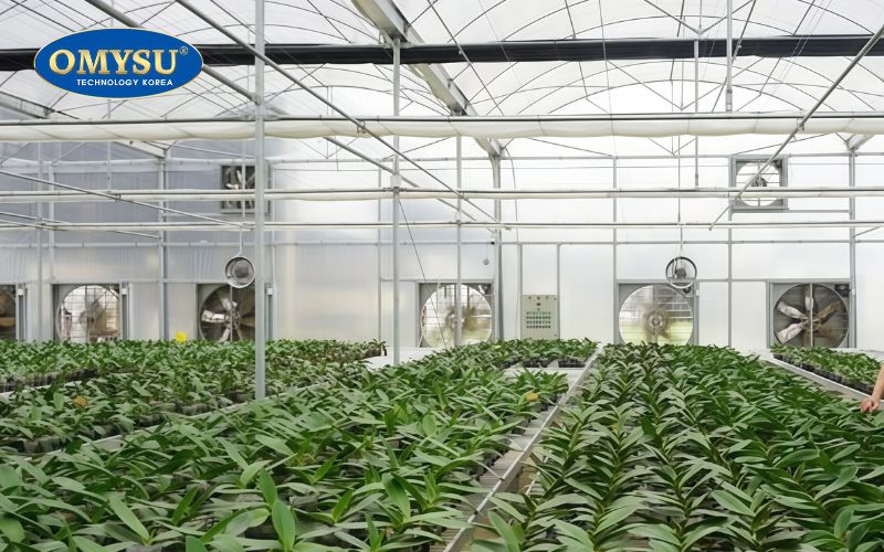 Vì sao lắp đặt quạt thông gió cho vườn lan lại rất cần thiết?