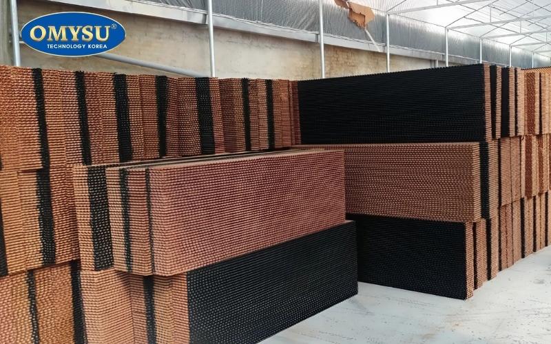 Chuẩn bị trước khi bắt đầu vệ sinh