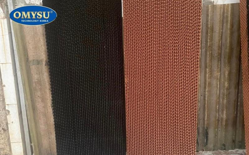 Lắp đặt lại và kiểm tra sau khi vệ sinh