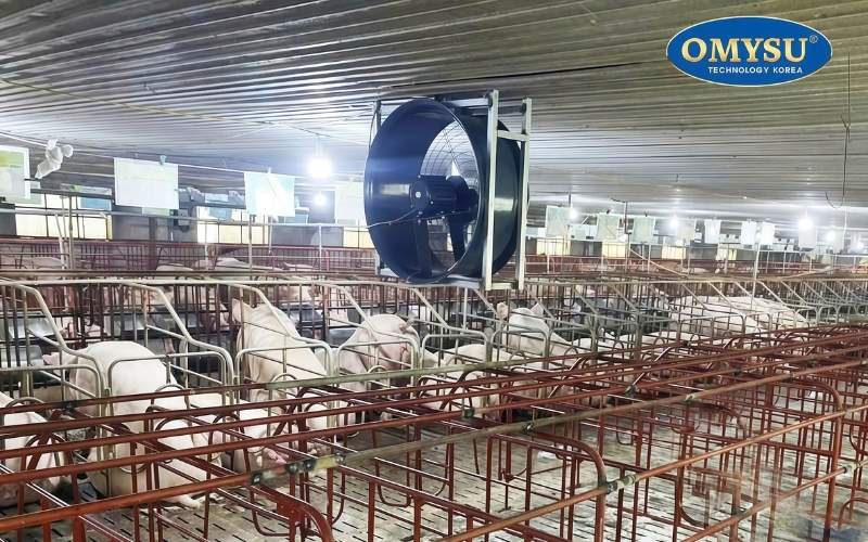 Quạt thông gió có tốn điện không? Giải đáp thắc mắc