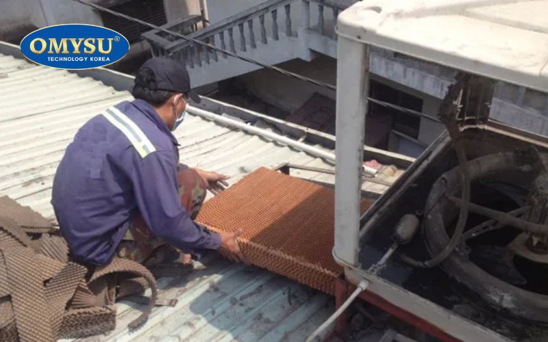 Bảo dưỡng và vệ sinh tấm cooling pad định kỳ